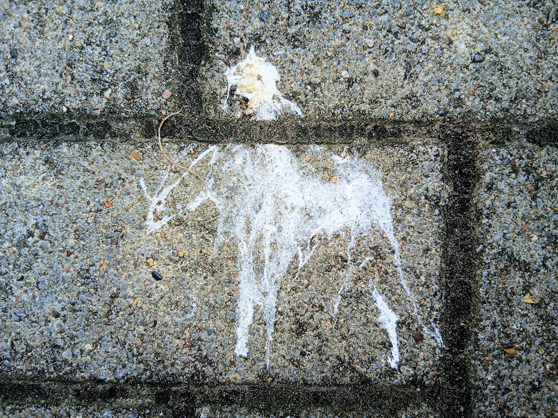 Scheißkunst